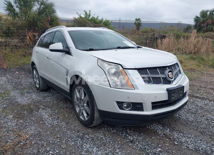 2011 Cadillac Srx PERFORMANCE COLLECTION (VIN 3GYFNBEY1BS582654) main photo