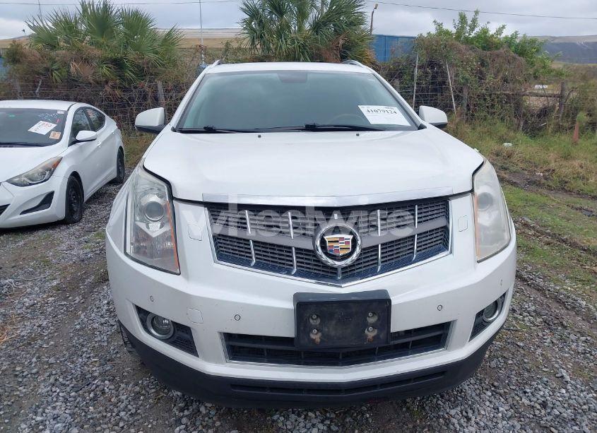Photo 12 of 2011 Cadillac Srx PERFORMANCE COLLECTION (VIN 3GYFNBEY1BS582654)