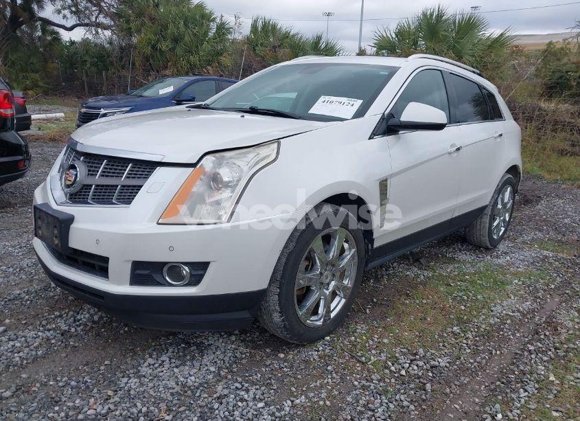 Photo 2 of 2011 Cadillac Srx PERFORMANCE COLLECTION (VIN 3GYFNBEY1BS582654)