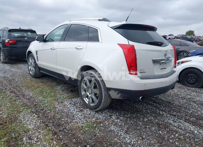 Photo 3 of 2011 Cadillac Srx PERFORMANCE COLLECTION (VIN 3GYFNBEY1BS582654)