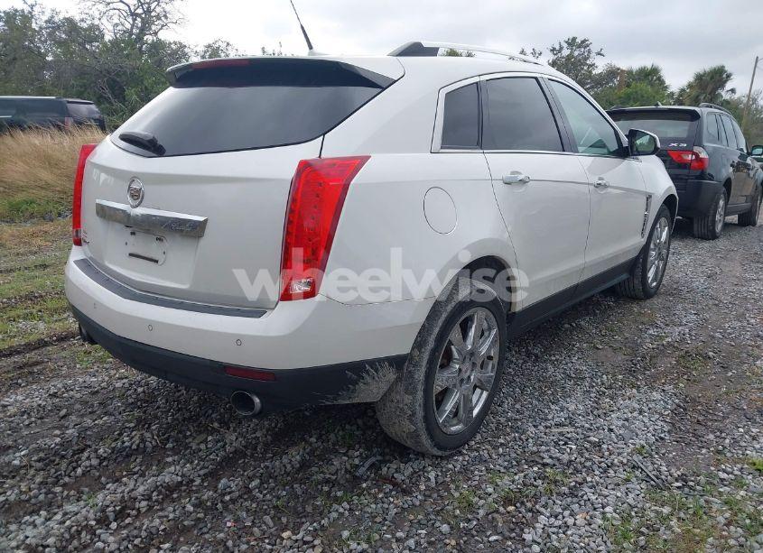 Photo 4 of 2011 Cadillac Srx PERFORMANCE COLLECTION (VIN 3GYFNBEY1BS582654)