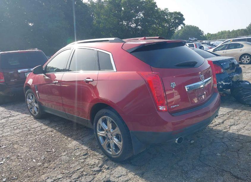 Photo 3 of 2011 Cadillac Srx PERFORMANCE COLLECTION (VIN 3GYFNBEY1BS626281)