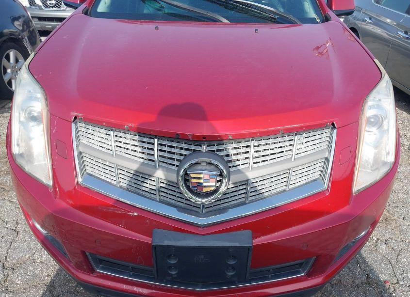 Photo 6 of 2011 Cadillac Srx PERFORMANCE COLLECTION (VIN 3GYFNBEY1BS626281)