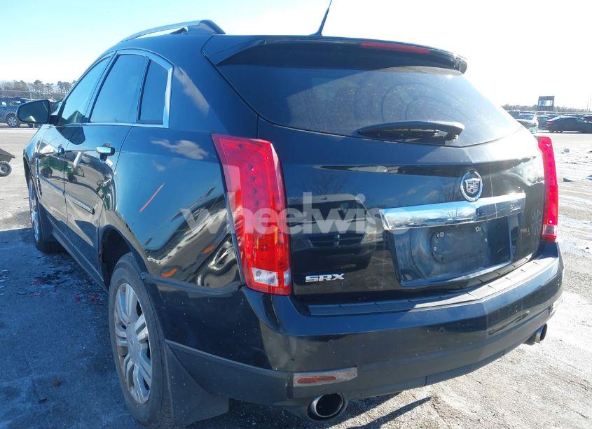 Photo 3 of 2010 Cadillac Srx PERFORMANCE COLLECTION (VIN 3GYFNBEY2AS646022)