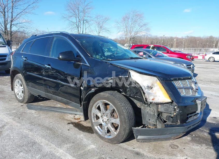 Photo 6 of 2010 Cadillac Srx PERFORMANCE COLLECTION (VIN 3GYFNBEY2AS646022)