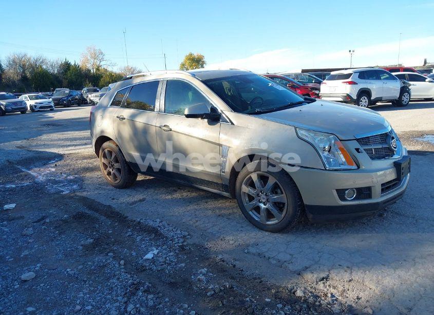Photo 13 of 2011 Cadillac Srx PERFORMANCE COLLECTION (VIN 3GYFNBEY3BS529406)