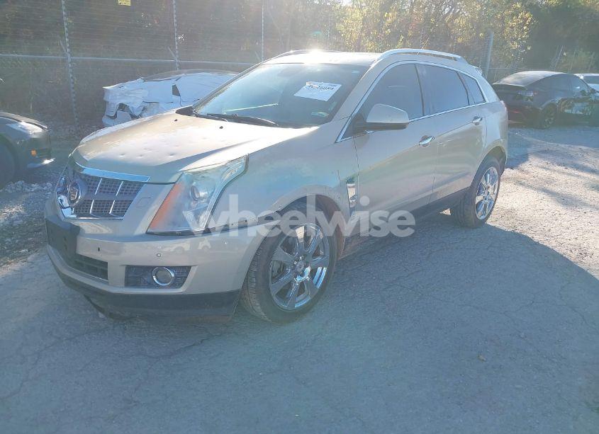 Photo 2 of 2011 Cadillac Srx PERFORMANCE COLLECTION (VIN 3GYFNBEY3BS529406)