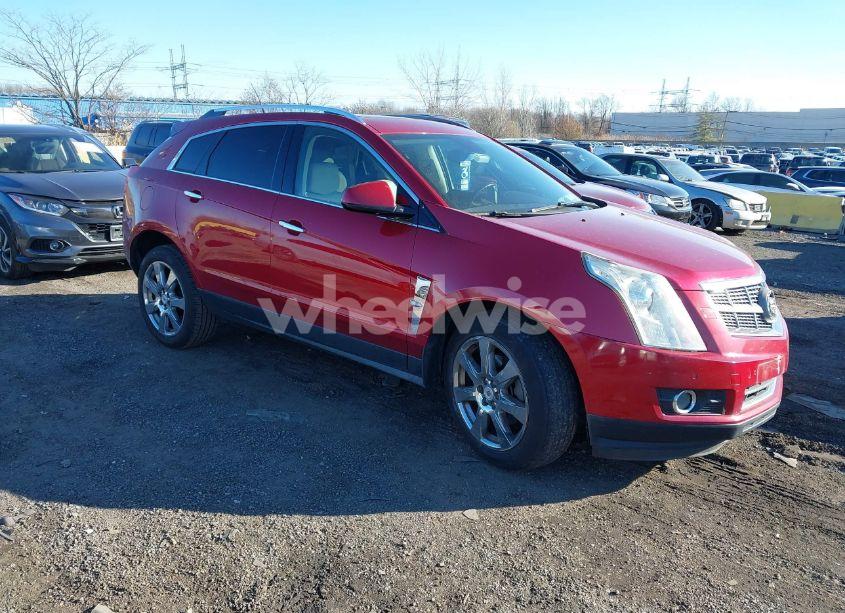 2010 Cadillac Srx PERFORMANCE COLLECTION (VIN 3GYFNBEY4AS578953) main photo