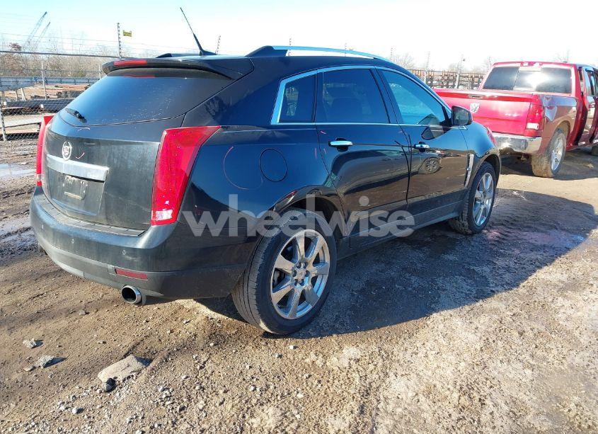 Photo 4 of 2011 Cadillac Srx PERFORMANCE COLLECTION (VIN 3GYFNBEY4BS673692)