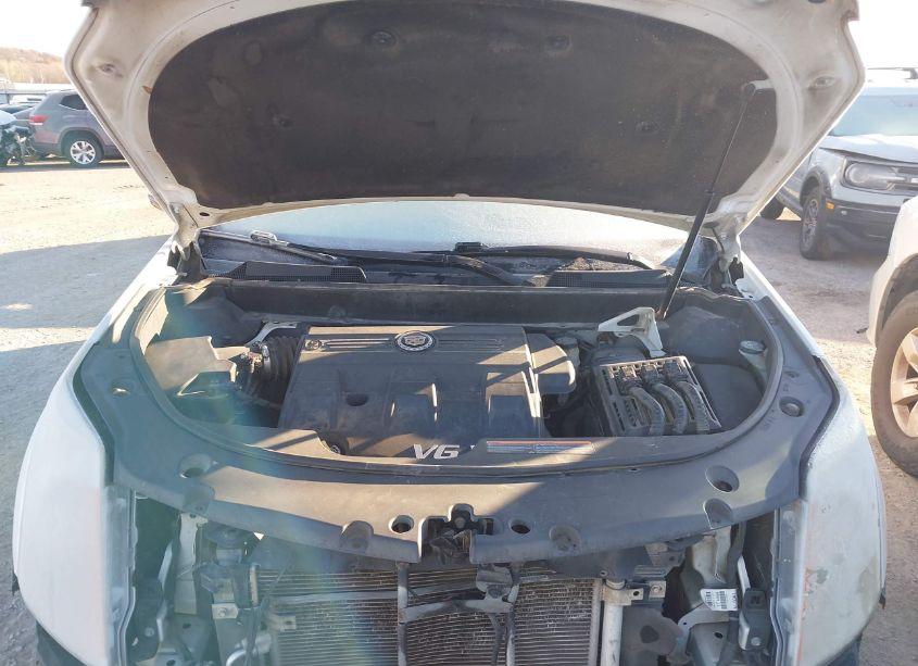 Photo 10 of 2011 Cadillac Srx PERFORMANCE COLLECTION (VIN 3GYFNBEY6BS582665)