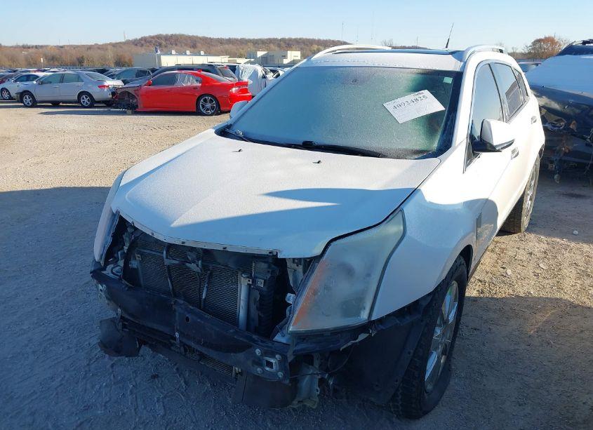 Photo 2 of 2011 Cadillac Srx PERFORMANCE COLLECTION (VIN 3GYFNBEY6BS582665)