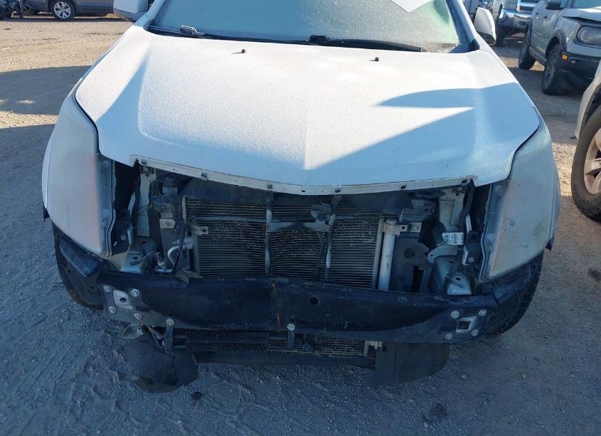 Photo 6 of 2011 Cadillac Srx PERFORMANCE COLLECTION (VIN 3GYFNBEY6BS582665)