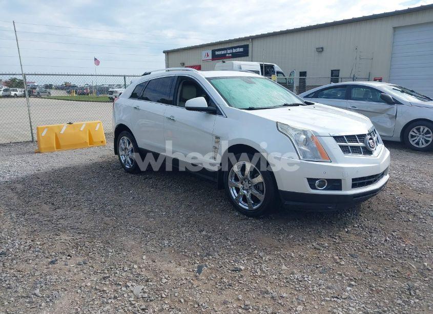 2011 Cadillac Srx PERFORMANCE COLLECTION (VIN 3GYFNBEY7BS560609) main photo