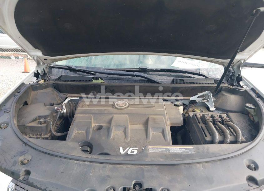 Photo 10 of 2011 Cadillac Srx PERFORMANCE COLLECTION (VIN 3GYFNBEY7BS560609)