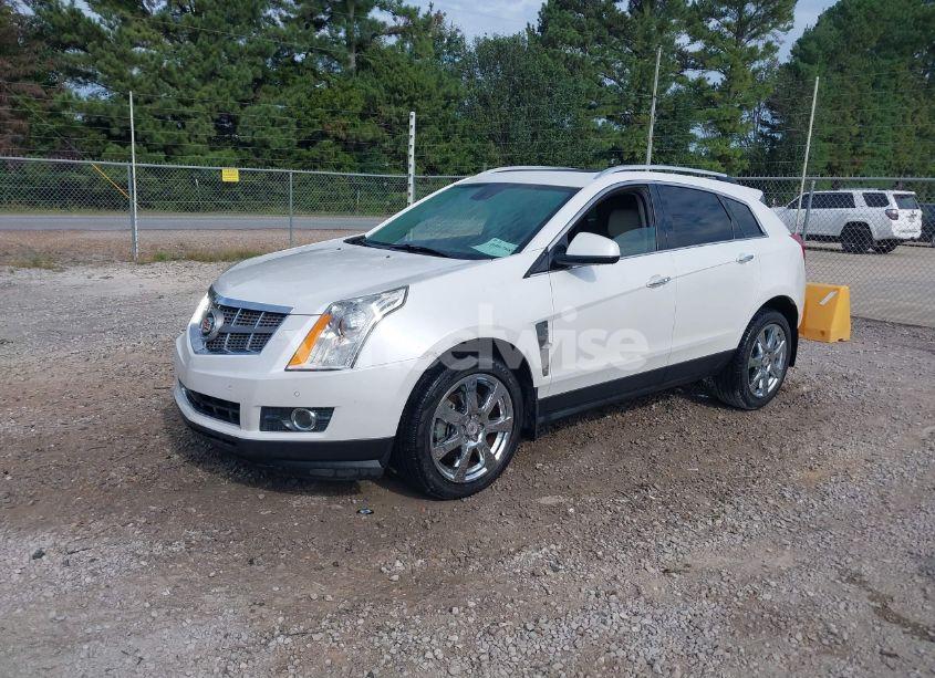 Photo 2 of 2011 Cadillac Srx PERFORMANCE COLLECTION (VIN 3GYFNBEY7BS560609)