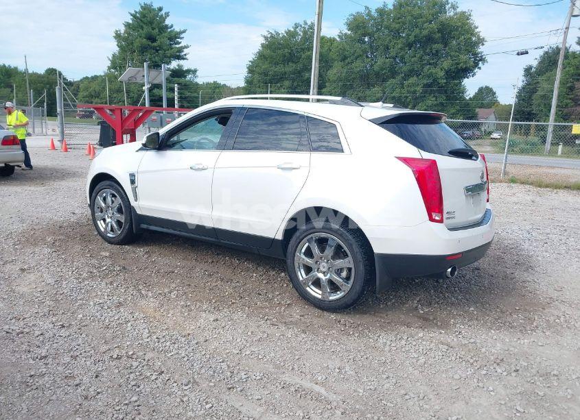 Photo 3 of 2011 Cadillac Srx PERFORMANCE COLLECTION (VIN 3GYFNBEY7BS560609)