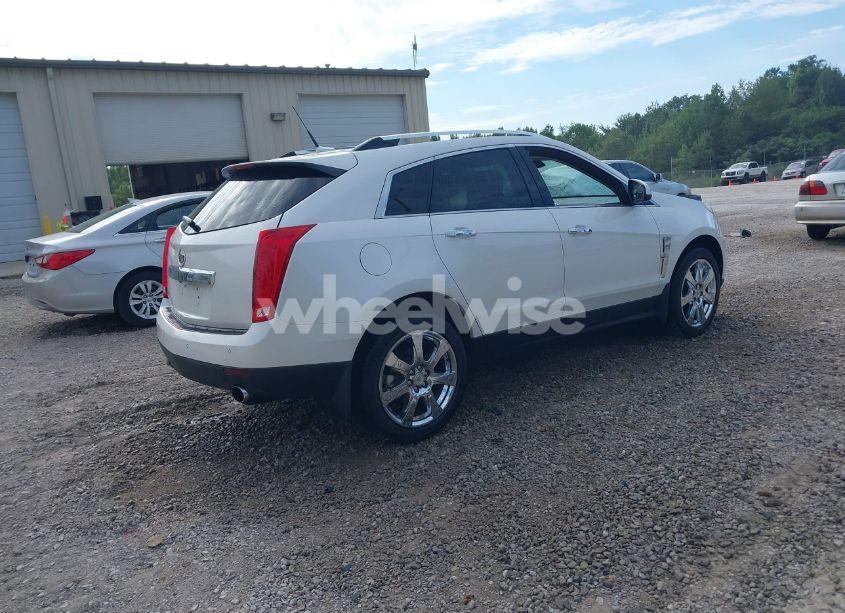 Photo 4 of 2011 Cadillac Srx PERFORMANCE COLLECTION (VIN 3GYFNBEY7BS560609)