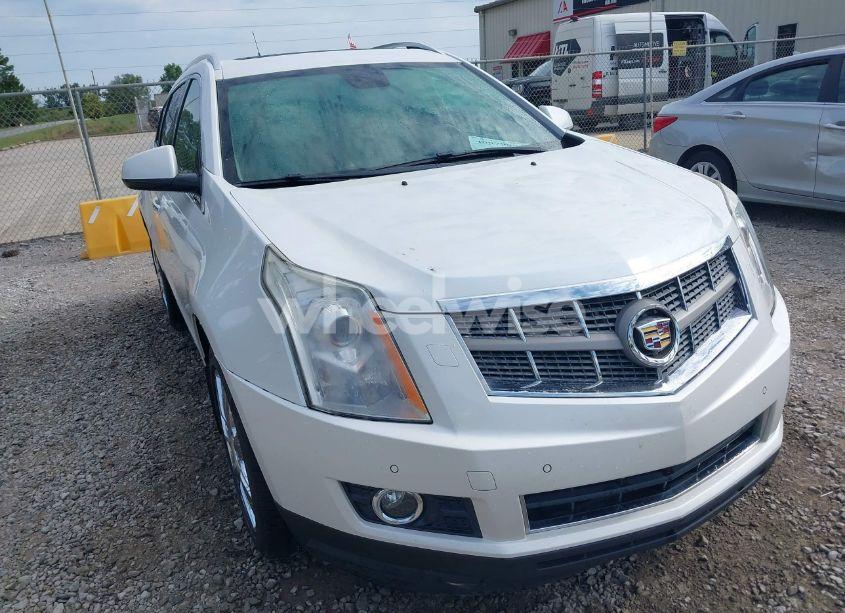 Photo 6 of 2011 Cadillac Srx PERFORMANCE COLLECTION (VIN 3GYFNBEY7BS560609)