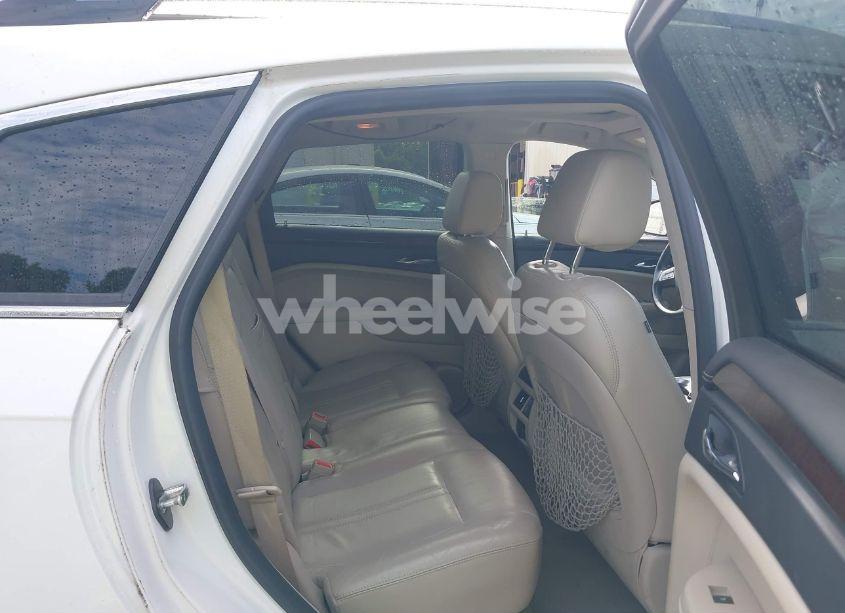 Photo 8 of 2011 Cadillac Srx PERFORMANCE COLLECTION (VIN 3GYFNBEY7BS560609)