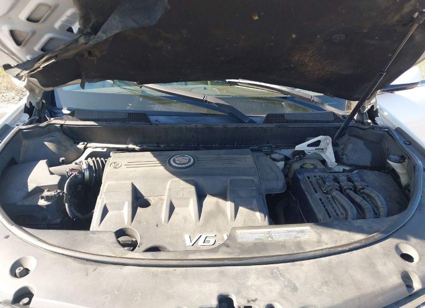 Photo 10 of 2011 Cadillac Srx PERFORMANCE COLLECTION (VIN 3GYFNBEY7BS599622)