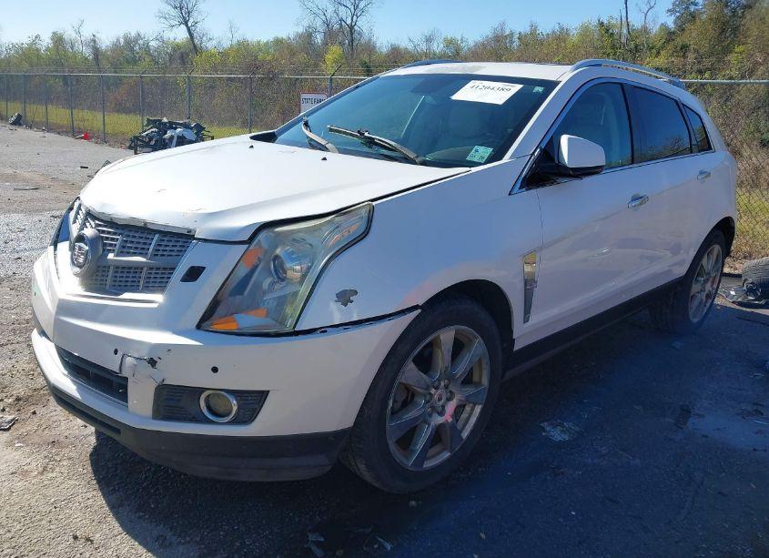 Photo 2 of 2011 Cadillac Srx PERFORMANCE COLLECTION (VIN 3GYFNBEY7BS599622)