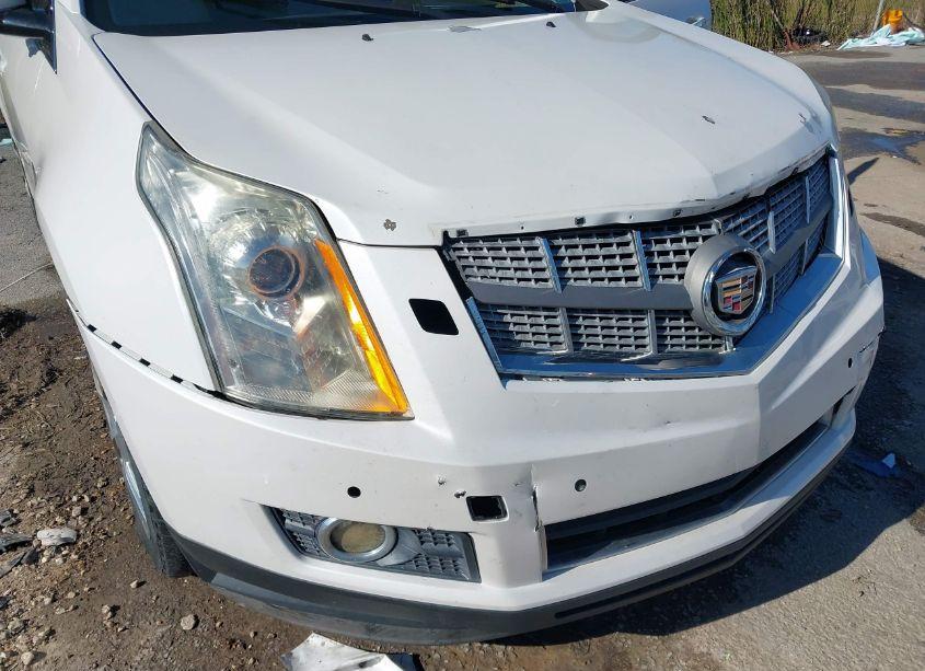Photo 6 of 2011 Cadillac Srx PERFORMANCE COLLECTION (VIN 3GYFNBEY7BS599622)