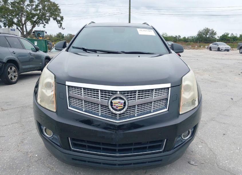 Photo 6 of 2011 Cadillac Srx PERFORMANCE COLLECTION (VIN 3GYFNBEY8BS511273)