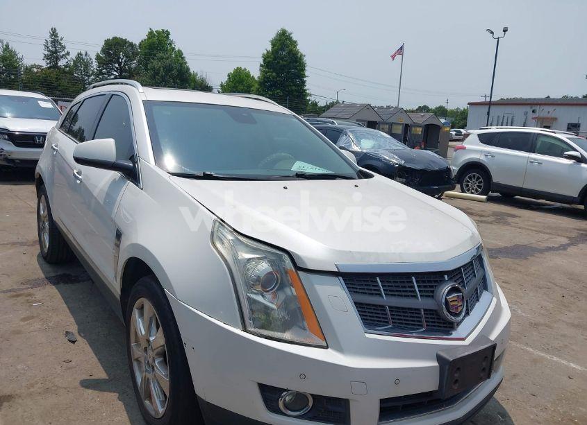 2010 Cadillac Srx PERFORMANCE COLLECTION (VIN 3GYFNBEY9AS595862) main photo