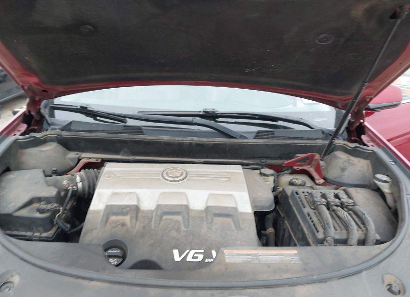 Photo 10 of 2010 Cadillac Srx PERFORMANCE COLLECTION (VIN 3GYFNBEY9AS604091)