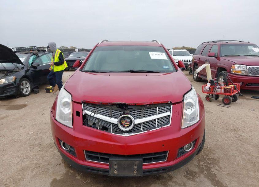 Photo 12 of 2010 Cadillac Srx PERFORMANCE COLLECTION (VIN 3GYFNBEY9AS604091)