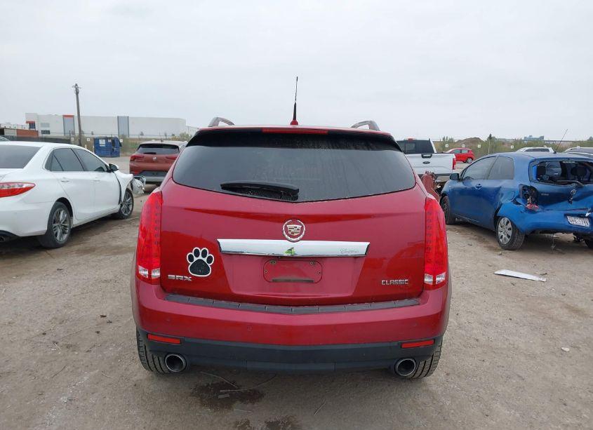 Photo 16 of 2010 Cadillac Srx PERFORMANCE COLLECTION (VIN 3GYFNBEY9AS604091)