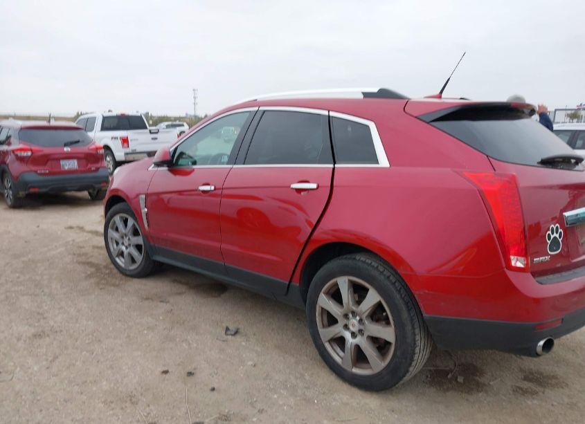 Photo 3 of 2010 Cadillac Srx PERFORMANCE COLLECTION (VIN 3GYFNBEY9AS604091)
