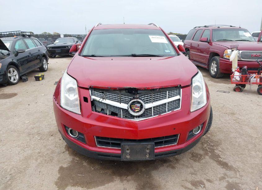 Photo 6 of 2010 Cadillac Srx PERFORMANCE COLLECTION (VIN 3GYFNBEY9AS604091)