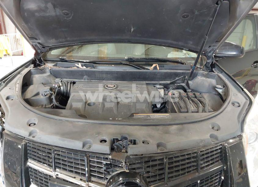 Photo 10 of 2011 Cadillac Srx PERFORMANCE COLLECTION (VIN 3GYFNBEY9BS552530)