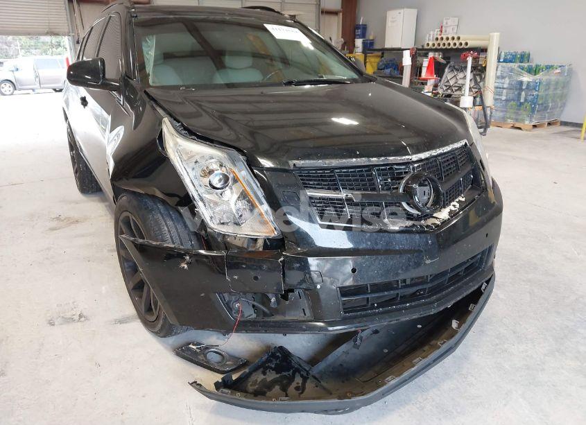 Photo 6 of 2011 Cadillac Srx PERFORMANCE COLLECTION (VIN 3GYFNBEY9BS552530)