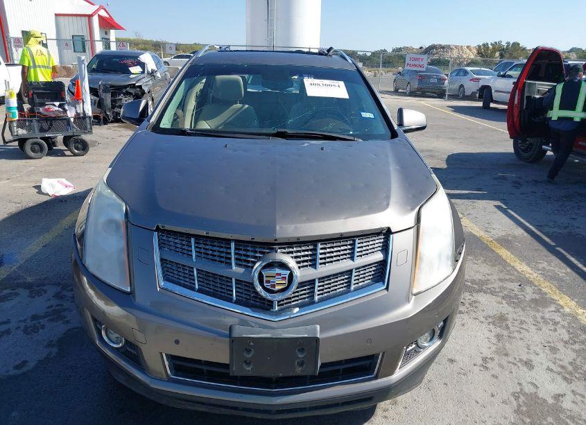 Photo 12 of 2011 Cadillac Srx PERFORMANCE COLLECTION (VIN 3GYFNBEY9BS672456)