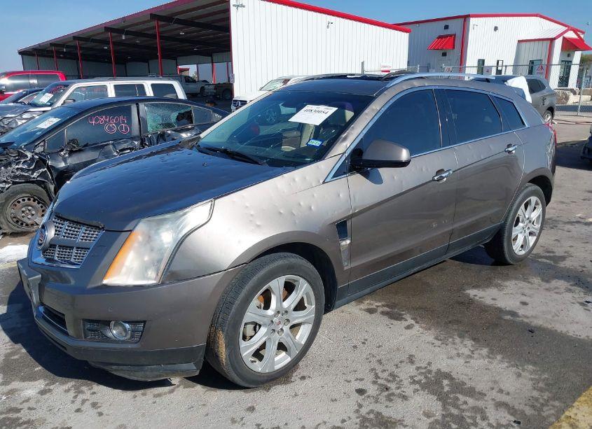 Photo 2 of 2011 Cadillac Srx PERFORMANCE COLLECTION (VIN 3GYFNBEY9BS672456)