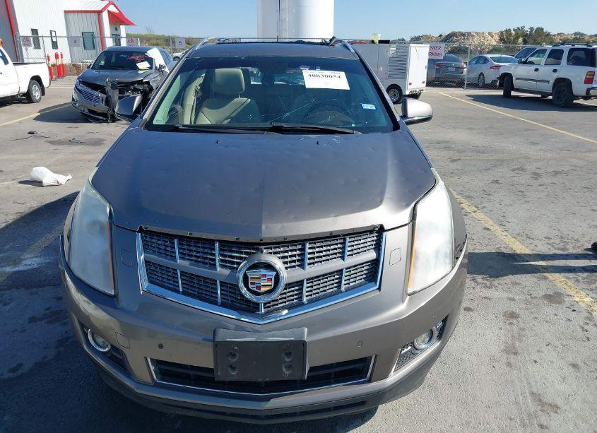 Photo 6 of 2011 Cadillac Srx PERFORMANCE COLLECTION (VIN 3GYFNBEY9BS672456)