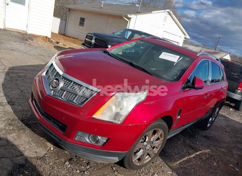 Photo 2 of 2011 Cadillac Srx PERFORMANCE COLLECTION (VIN 3GYFNBEYXBS525059)