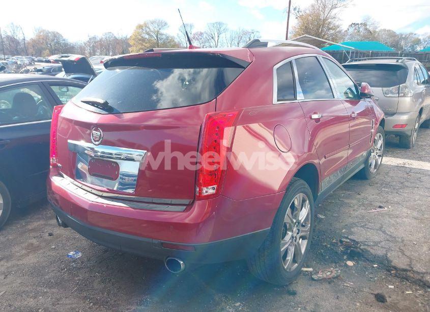 Photo 4 of 2011 Cadillac Srx PERFORMANCE COLLECTION (VIN 3GYFNBEYXBS525059)