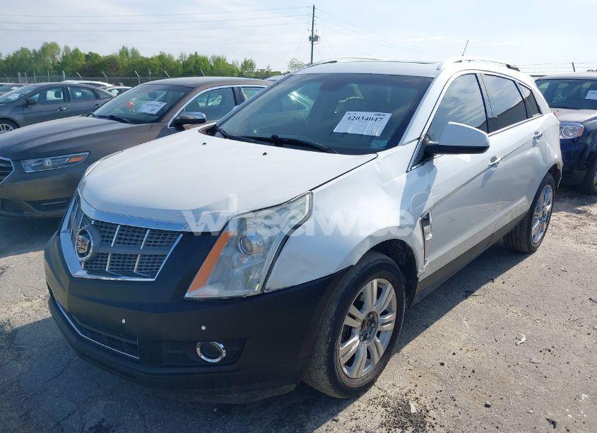 Photo 17 of 2011 Cadillac Srx PERFORMANCE COLLECTION (VIN 3GYFNBEYXBS540807)