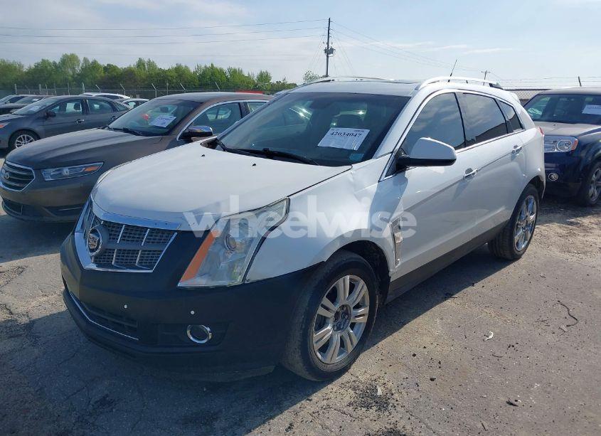 Photo 2 of 2011 Cadillac Srx PERFORMANCE COLLECTION (VIN 3GYFNBEYXBS540807)