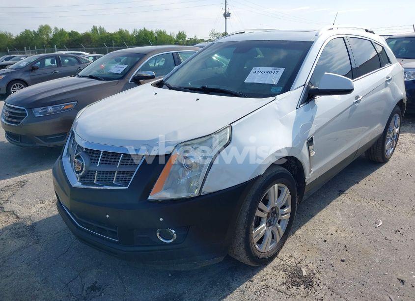 Photo 6 of 2011 Cadillac Srx PERFORMANCE COLLECTION (VIN 3GYFNBEYXBS540807)