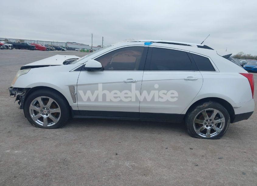 Photo 13 of 2011 Cadillac Srx PERFORMANCE COLLECTION (VIN 3GYFNBEYXBS546820)