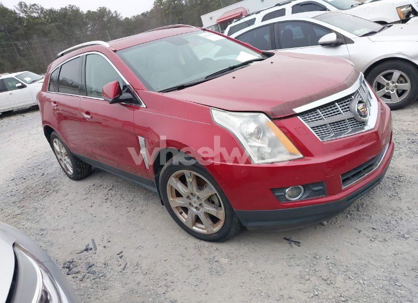 2011 Cadillac Srx PERFORMANCE COLLECTION (VIN 3GYFNBEYXBS582801) main photo