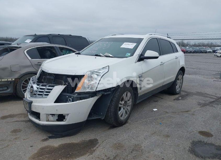 Photo 2 of 2013 Cadillac Srx LUXURY COLLECTION (VIN 3GYFNCE31DS650268)