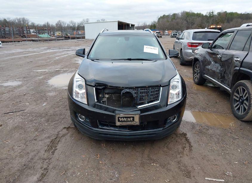 Photo 11 of 2013 Cadillac Srx LUXURY COLLECTION (VIN 3GYFNCE32DS526087)