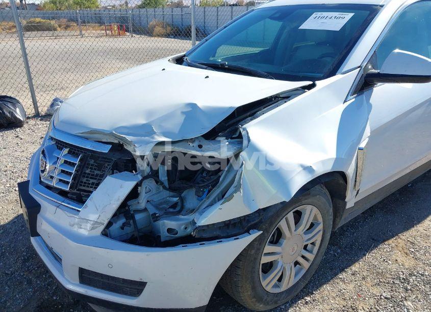 Photo 6 of 2013 Cadillac Srx LUXURY COLLECTION (VIN 3GYFNCE32DS535307)