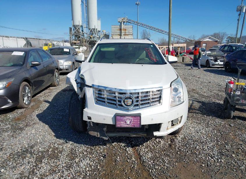 Photo 12 of 2013 Cadillac Srx LUXURY COLLECTION (VIN 3GYFNCE34DS560757)