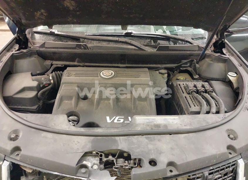 Photo 10 of 2013 Cadillac Srx LUXURY COLLECTION (VIN 3GYFNCE35DS516895)